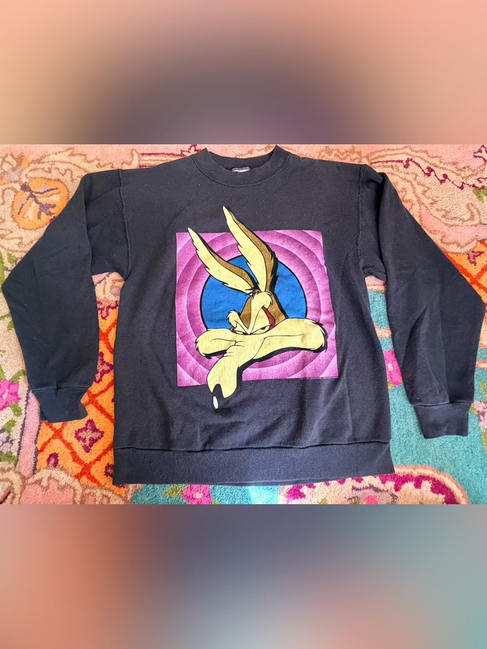 Vintage Looney Tunes Sweatshirt M